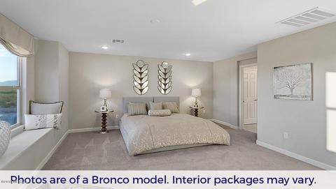 12095 E Becker Dr, Vail, AZ 85641 photo 17