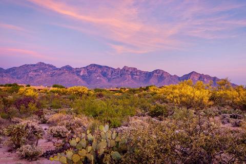 14 W Shimmering Sand Pl, Oro Valley, AZ 85755