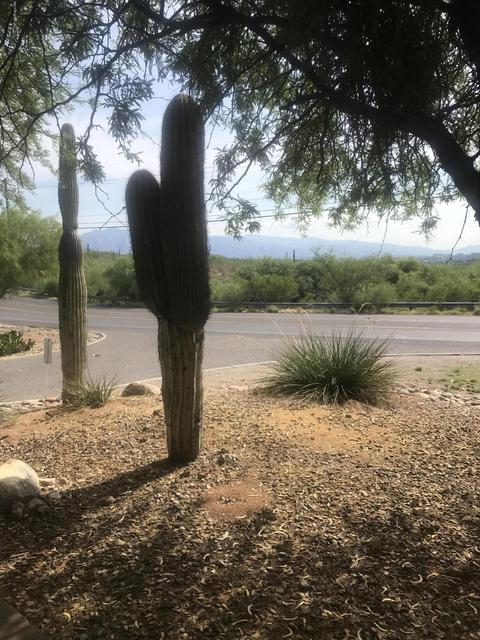 2150 E Hampton, Tucson, AZ 85745 photo 25