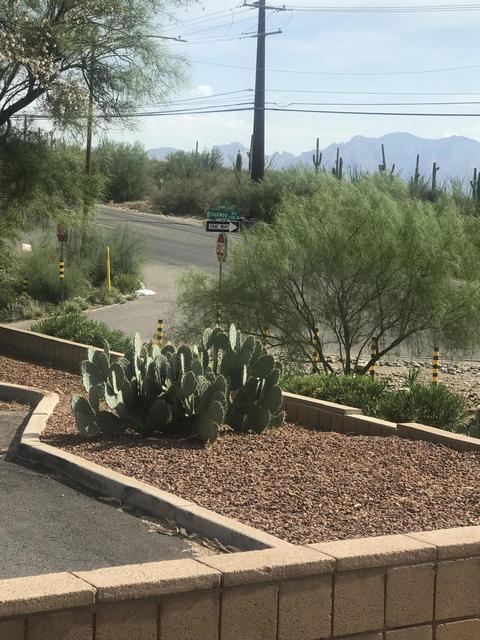 2150 E Hampton, Tucson, AZ 85745 photo 28