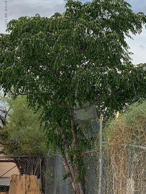 6345 S Park Ave, Tucson, AZ 85706 photo 8