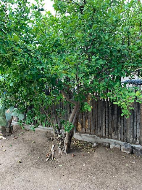 6345 S Park Ave, Tucson, AZ 85706 photo 6