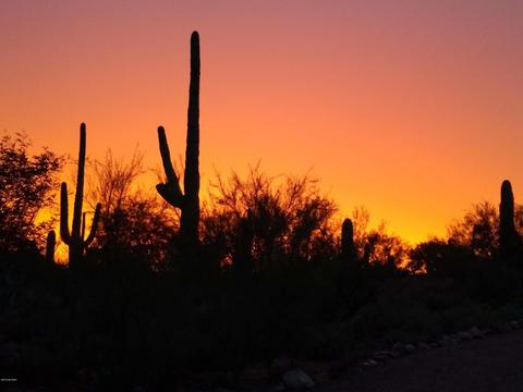 3240 E Via Celeste, Tucson, AZ 85718 photo 41