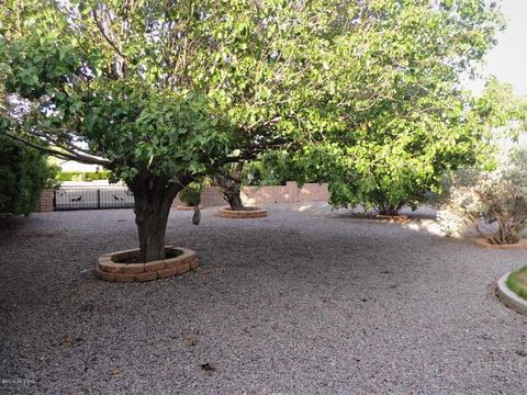 923 E Saguaro Dr, Pearce, AZ 85625 photo 28