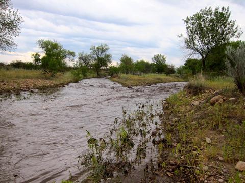 8800 E Roadrunner Rd, Pearce, AZ 85625 photo 2