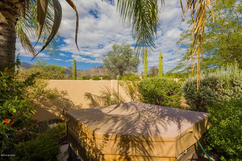 669 E Squirrel Tail Dr, Tucson, AZ 85704 photo 30