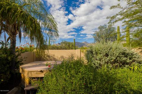 669 E Squirrel Tail Dr, Tucson, AZ 85704 photo 29