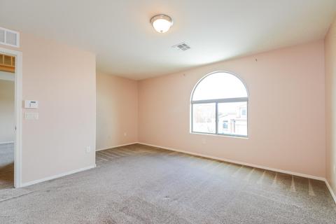737 S Willis Ray Ave, Vail, AZ 85641 photo 12
