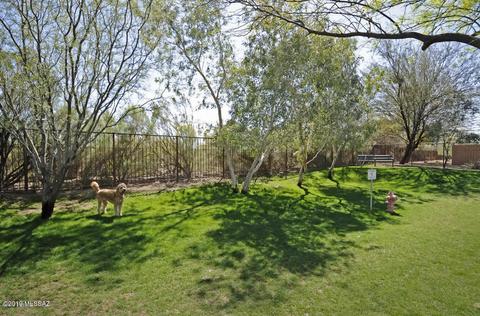 374 E Cedarvale Rd, Tucson, AZ 85704 photo 47