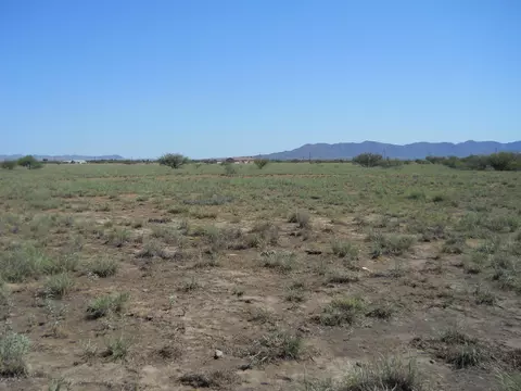 1981 S Haskell Ave, Willcox, AZ 85643 photo 5