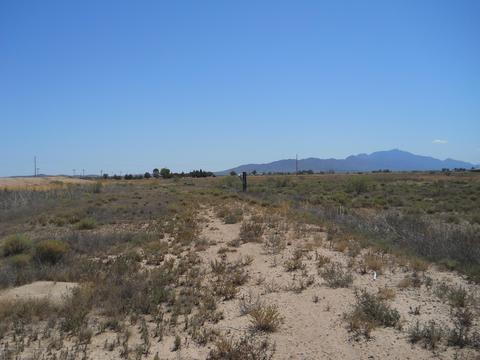 4301 Dearing Rd, Willcox, AZ 85643 photo 6
