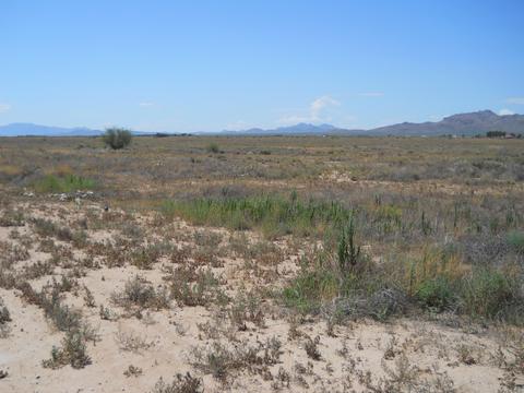 4301 Dearing Rd, Willcox, AZ 85643 photo 9