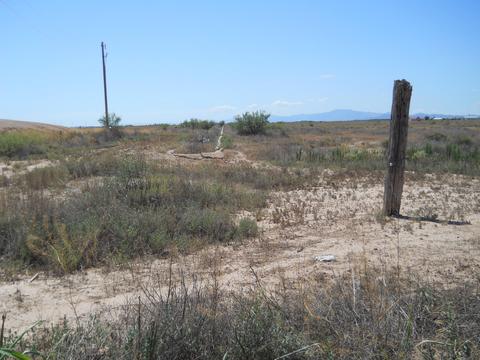 4301 Dearing Rd, Willcox, AZ 85643 photo 3