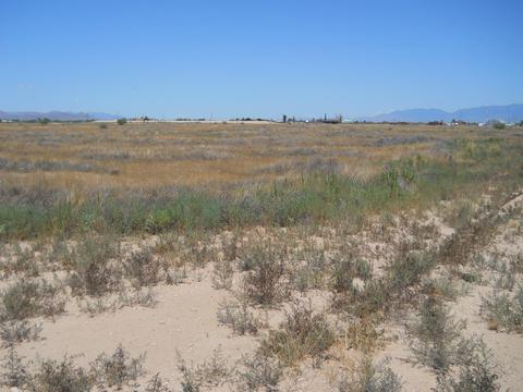4301 Dearing Rd, Willcox, AZ 85643 photo 8