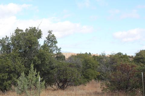 60 Thunder Mountain Rd, Elgin, AZ 85611 photo 22