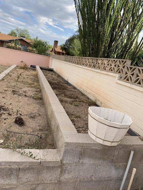 1402 E Roger Rd, Tucson, AZ 85719 photo 16