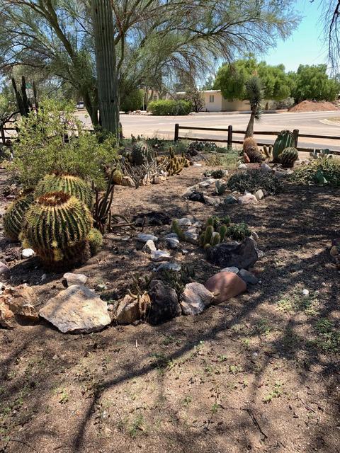 6071 E Sylvane St, Tucson, AZ 85711 photo 3