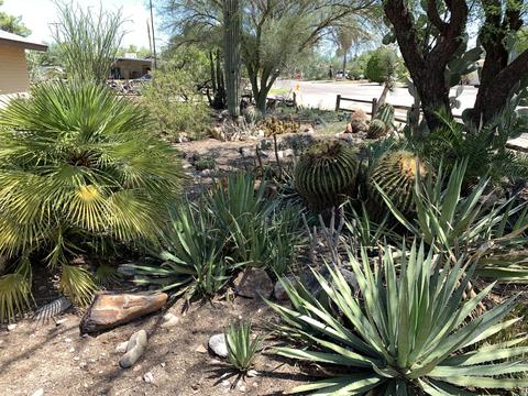 6071 E Sylvane St, Tucson, AZ 85711 photo 2