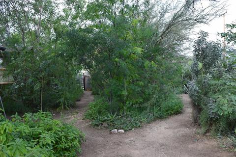 1025 E Hampton St, Tucson, AZ 85719 photo 2