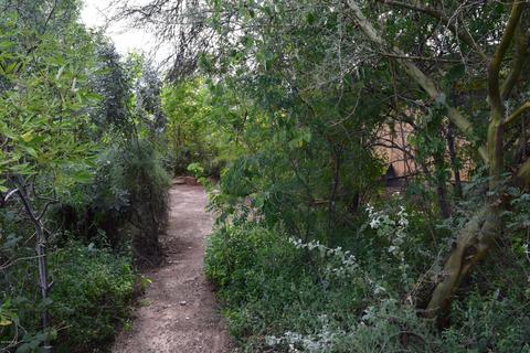 1025 E Hampton St, Tucson, AZ 85719 photo 4
