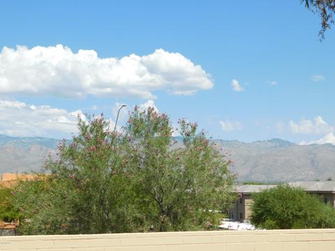 9895 1st St, Tucson, AZ 85748 photo 35