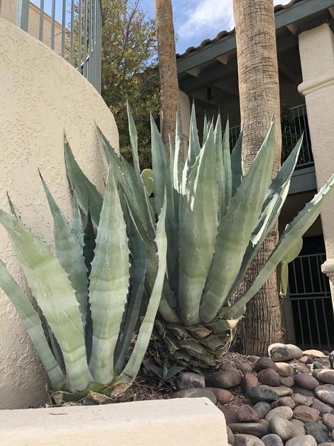 7664 E 22nd St #17, Tucson, AZ 85710 photo 31