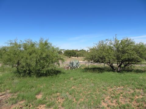 25390 E Comanche Trl, Benson, AZ 85602 photo 29