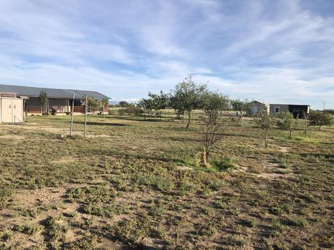 1523 S Taylor Rd, Willcox, AZ 85643 photo 45