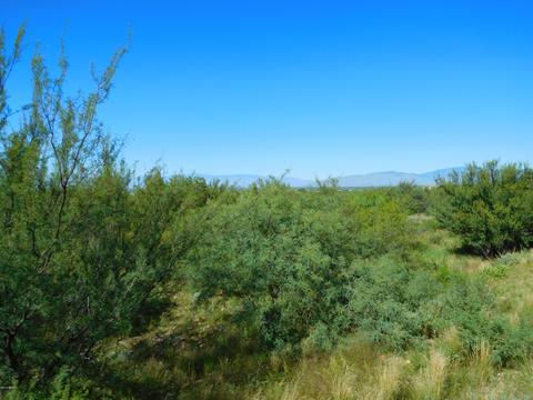 9131 E Green Sage Pl, Vail, AZ 85641 photo 22
