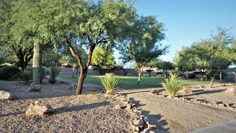 433 S Stone Bench Rd, Vail, AZ 85641 photo 23