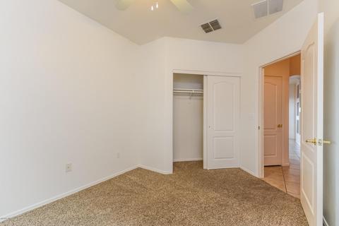481 E Cactus Mountain Dr, Vail, AZ 85641 photo 19