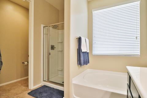 234 E Sycamore View Rd, Vail, AZ 85641 photo 14