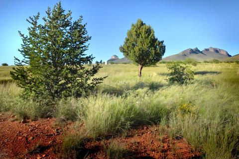 100 Mustang Ranch Rd, Elgin, AZ 85611 photo 31