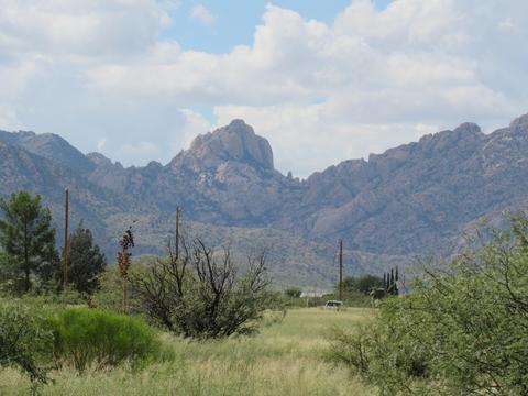 300 Euclid St, Pearce, AZ 85625 photo 7