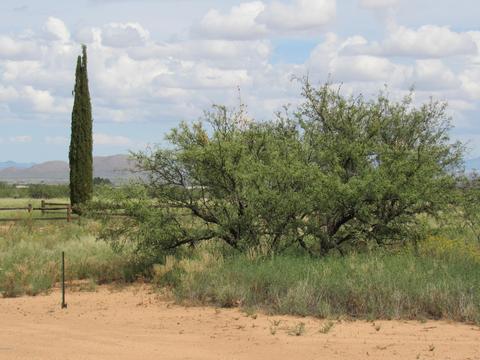 300 Euclid St, Pearce, AZ 85625 photo 9