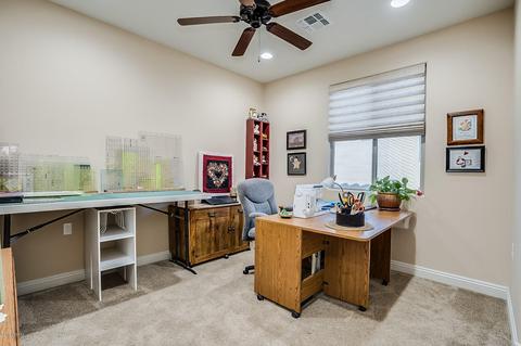 10342 E Tea Wagon Way, Vail, AZ 85641 photo 29