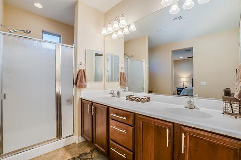 10342 E Tea Wagon Way, Vail, AZ 85641 photo 26