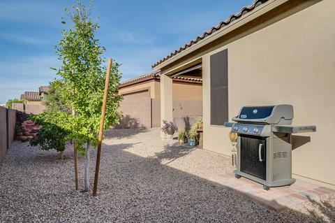 10342 E Tea Wagon Way, Vail, AZ 85641 photo 45