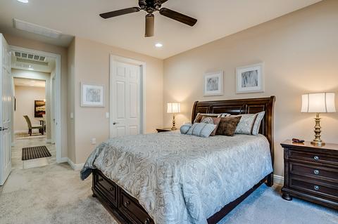 10342 E Tea Wagon Way, Vail, AZ 85641 photo 24