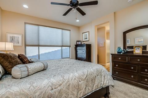 10342 E Tea Wagon Way, Vail, AZ 85641 photo 23