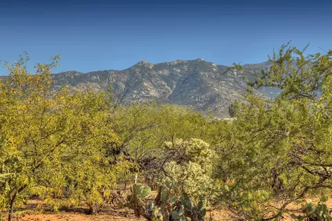 4128 E Pinal St, Tucson, AZ 85739 photo 19