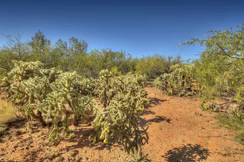 4128 E Pinal St, Tucson, AZ 85739 photo 15