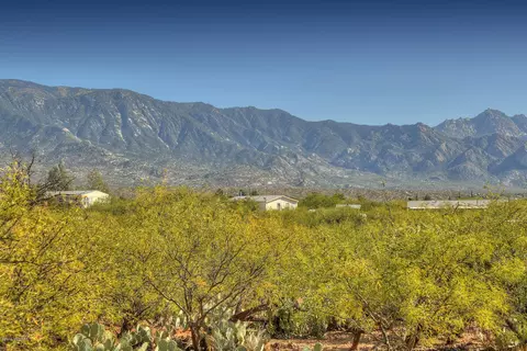 4128 E Pinal St, Tucson, AZ 85739 photo 1