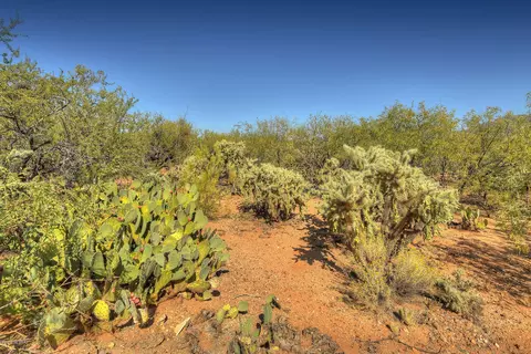 4128 E Pinal St, Tucson, AZ 85739 photo 8