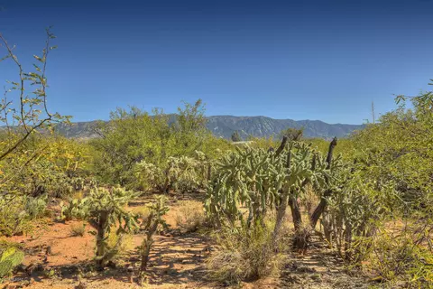 4128 E Pinal St, Tucson, AZ 85739 photo 6