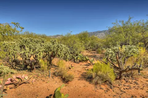 4128 E Pinal St, Tucson, AZ 85739 photo 12