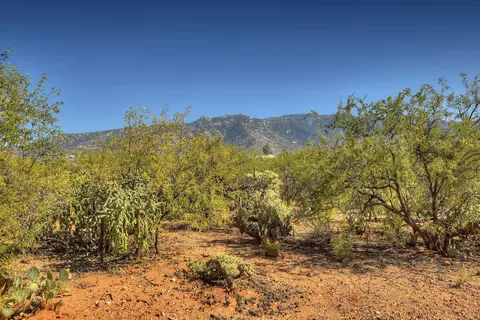 4128 E Pinal St, Tucson, AZ 85739 photo 16