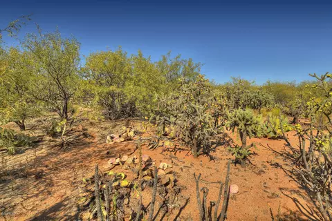 4128 E Pinal St, Tucson, AZ 85739 photo 10