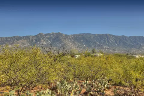 4128 E Pinal St, Tucson, AZ 85739 photo 18
