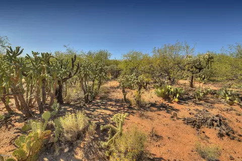 4128 E Pinal St, Tucson, AZ 85739 photo 13